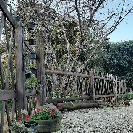 Casa Kiiro, Um Ambiente Tranquilo E De Sossego. Villa ซานโต อังตัวนิโอ โด ปิงญัล ภายนอก รูปภาพ