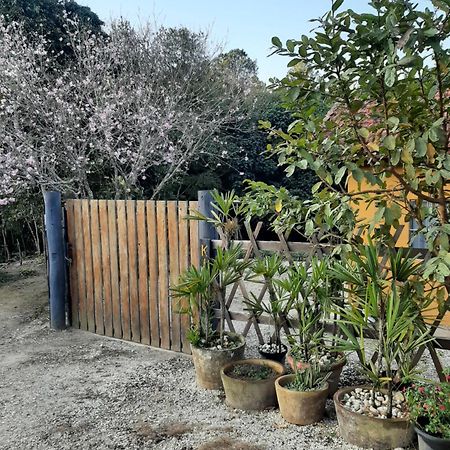 Casa Kiiro, Um Ambiente Tranquilo E De Sossego. Villa ซานโต อังตัวนิโอ โด ปิงญัล ภายนอก รูปภาพ